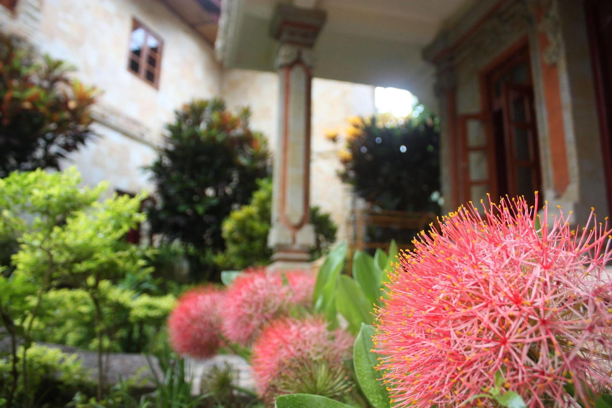 Rambutan Boutique Hotel Lovina Exteriör bild